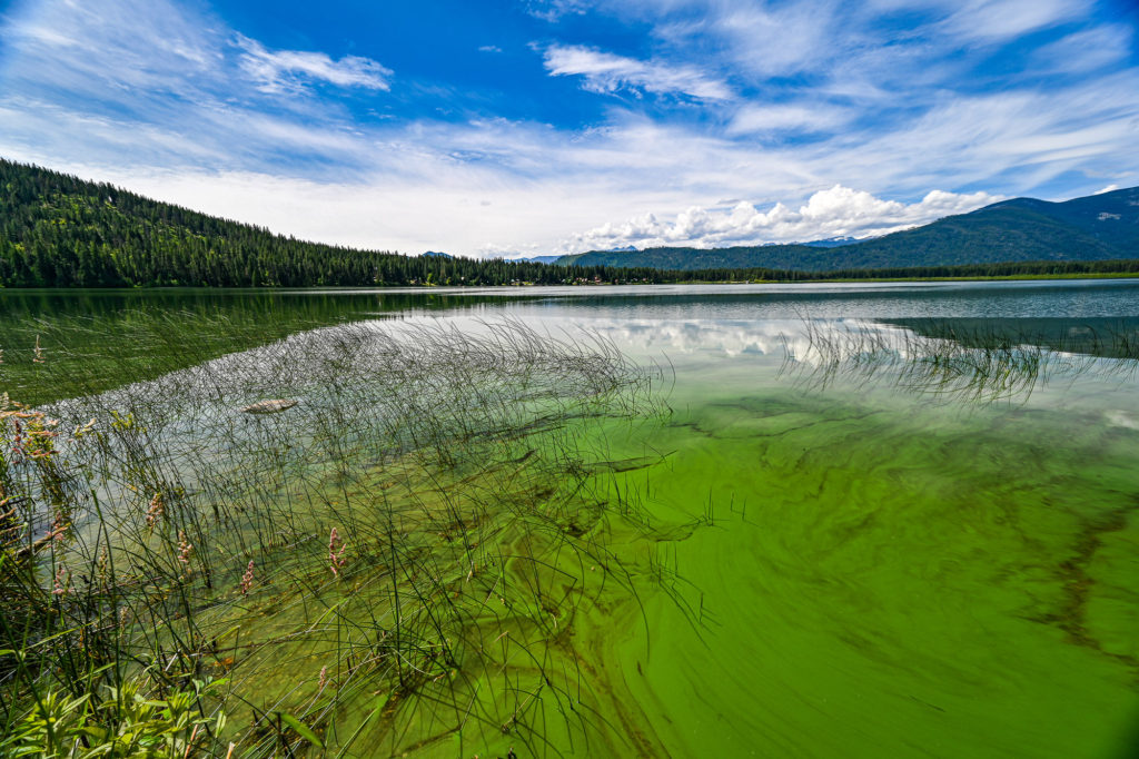 Fishing Anyone? - Tom Overbey