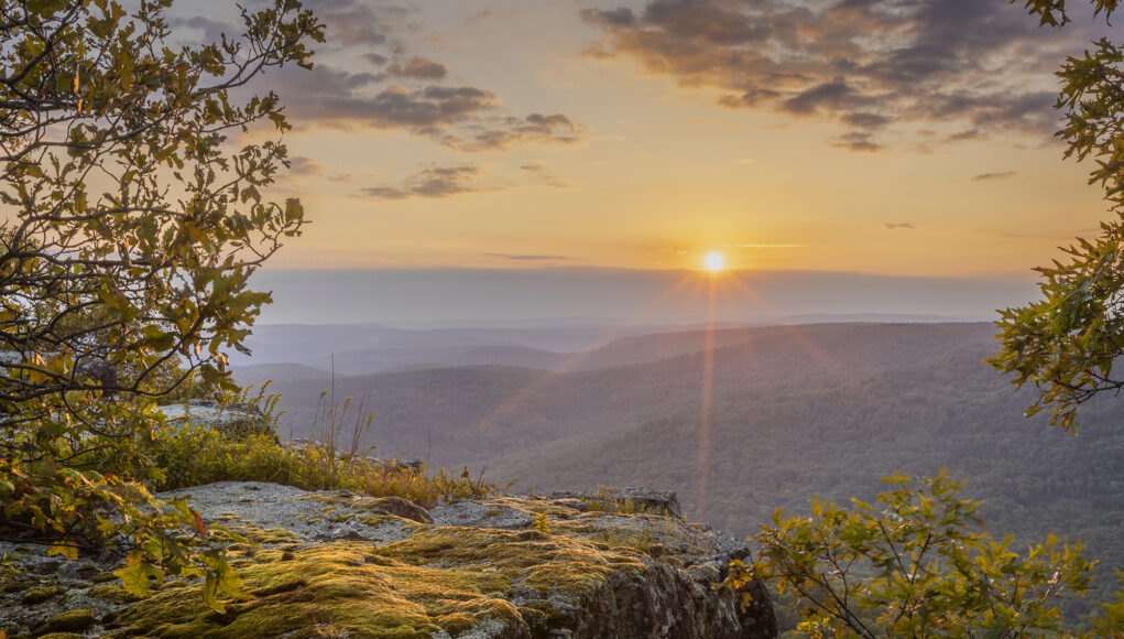 Arkansas Splendor by Mickey Arlow