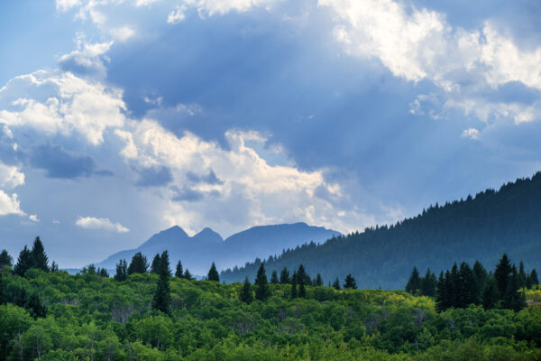 Sun Dappled Mountainscape by Joan McQuaid