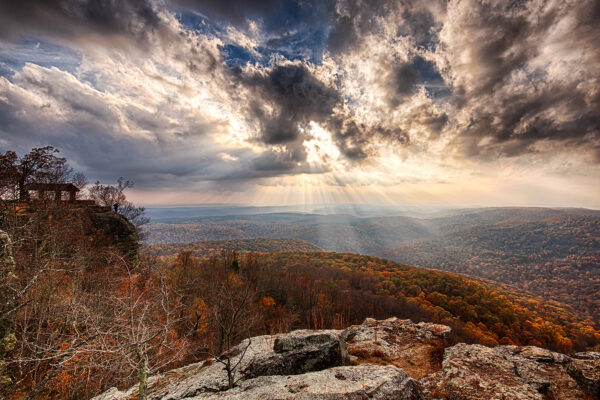 White Rock Rays by Melissa Jones