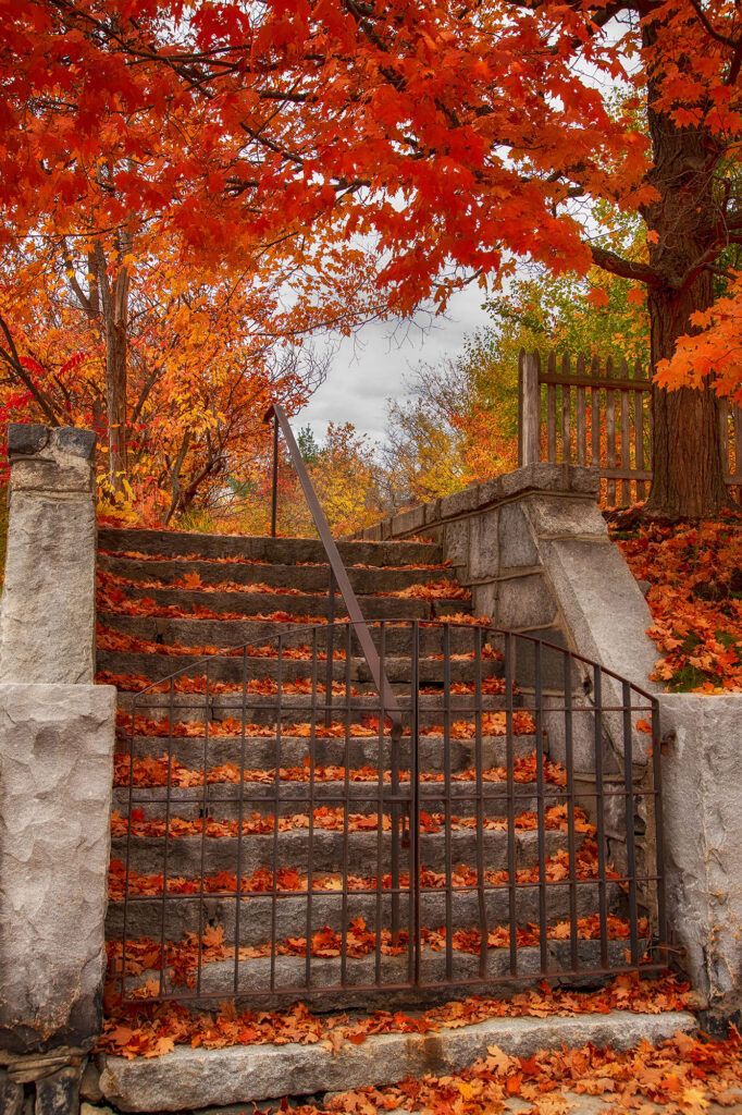 Stairway to Autumn - © Wendy Dunn