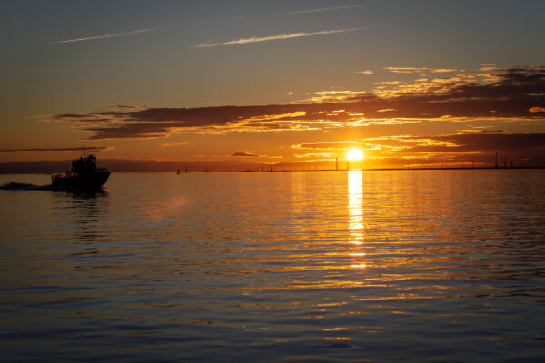 Sunset in the Harbor by Tim Johnson