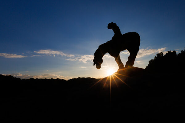 Second Runner-up - End of the Trail by Mickey Arlow