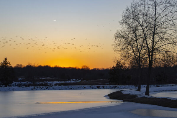 On Frozen Pond by Marjorie Jones